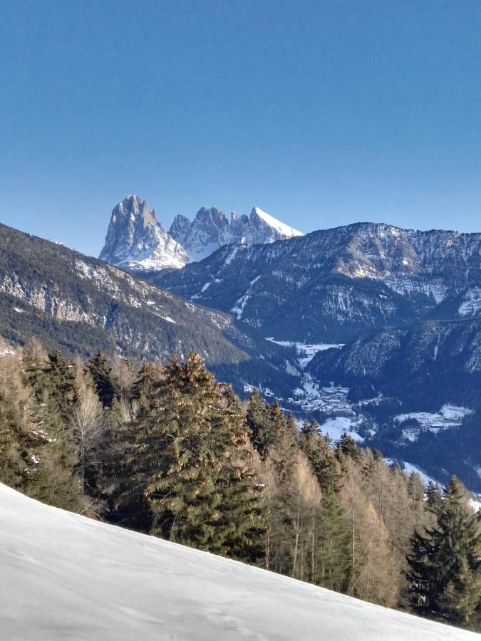 Alpine Chalet Aurora Dolomites Laion Eksteriør billede