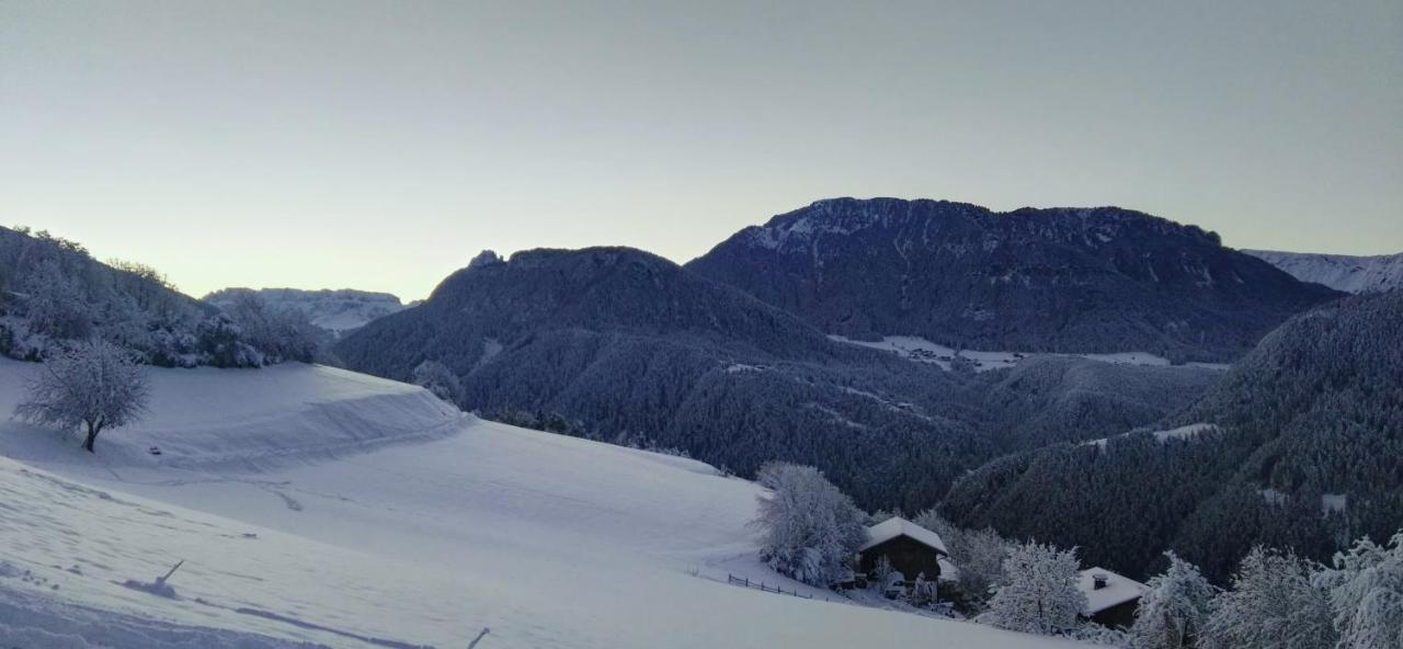 Alpine Chalet Aurora Dolomites Laion Eksteriør billede